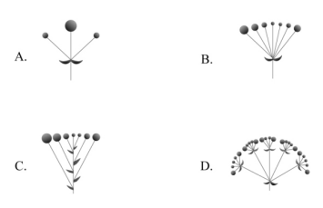 2020年國家公務員考試行測真題及答案（地市級）